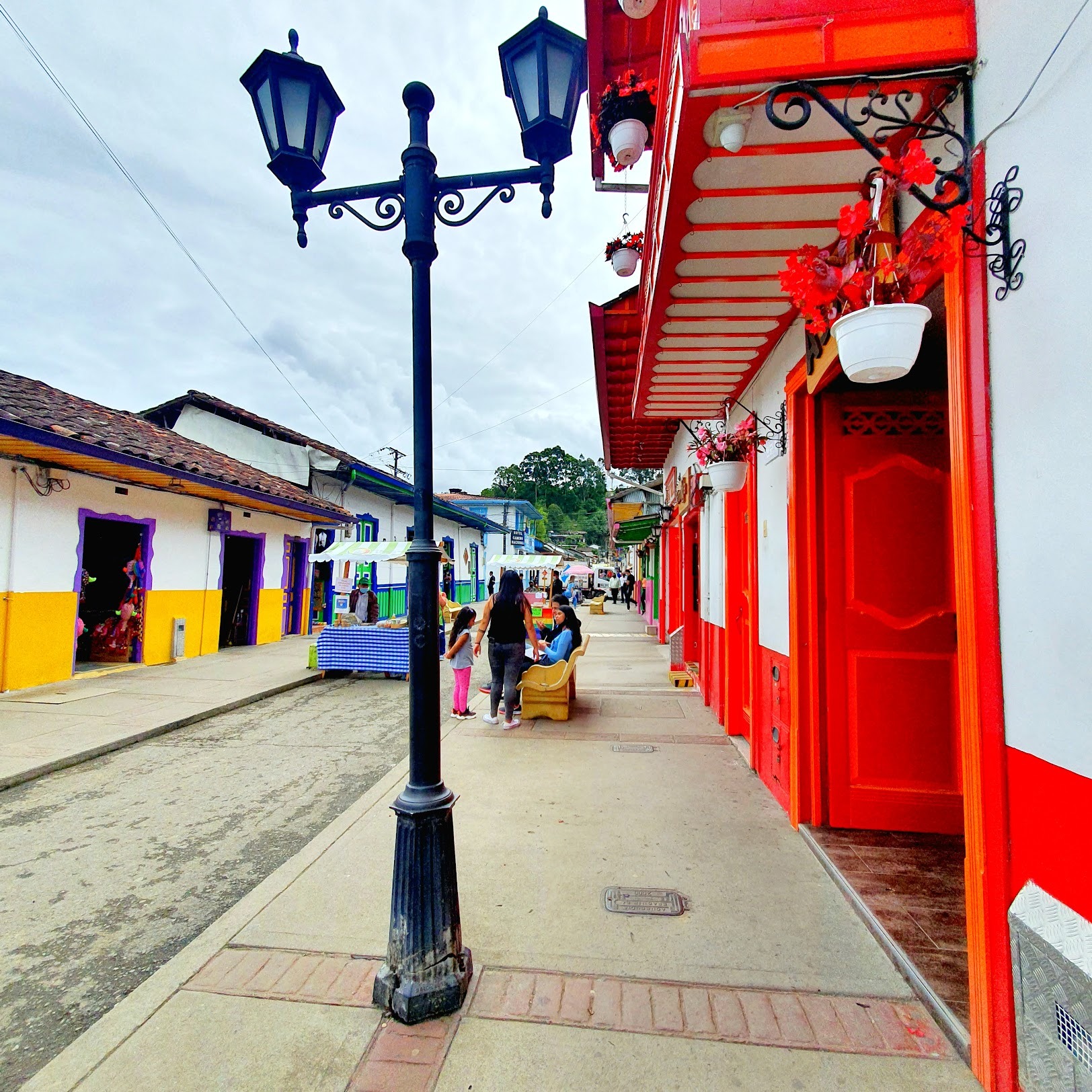 Valle del Cocora